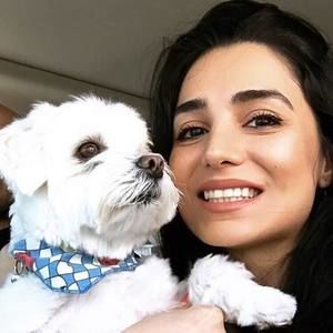 Meet your Posher, Soodi